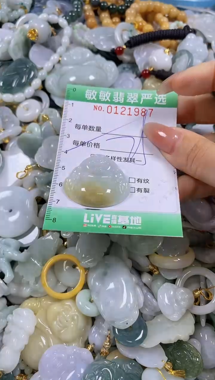 【闪购商品】翡翠颈饰未镶嵌闪购0121987多样性发其一