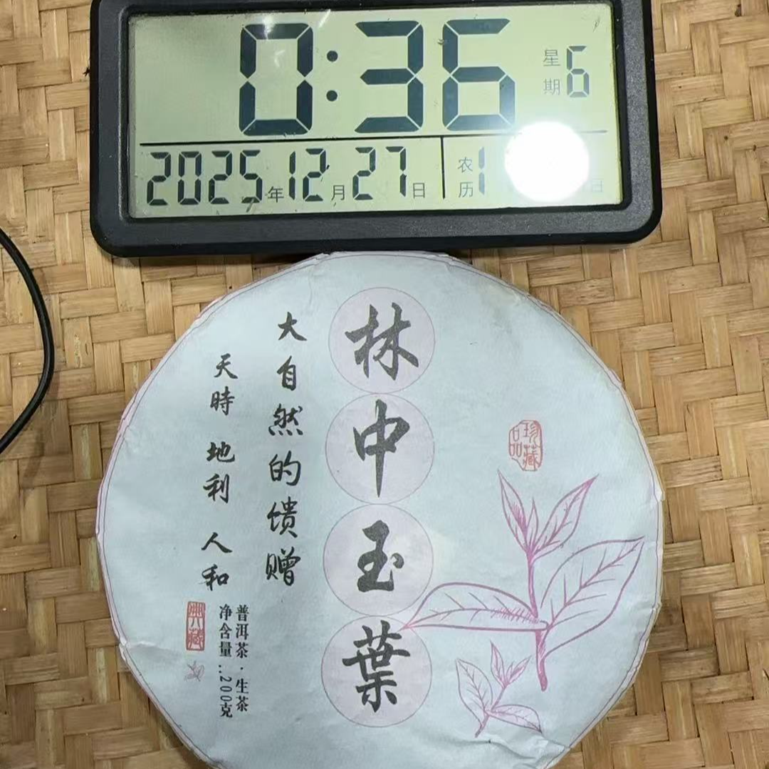 66号-2023年200克 昔归后山紫芽林中玉叶（春）普洱生茶饼
