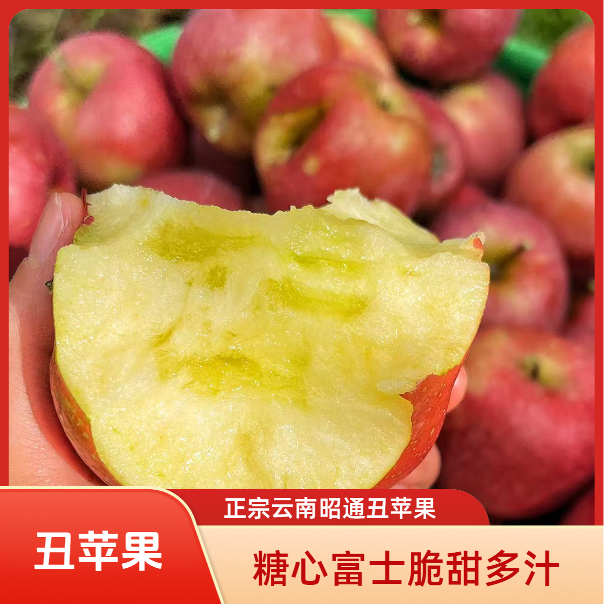 【昭通丑苹果】秋霖家云南昭通高山富士糖心丑苹果现摘现发