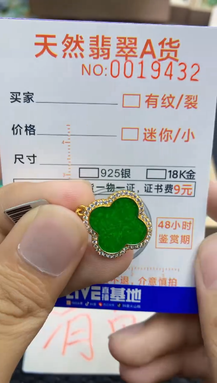 翡翠未镶嵌吊坠(不含链)1