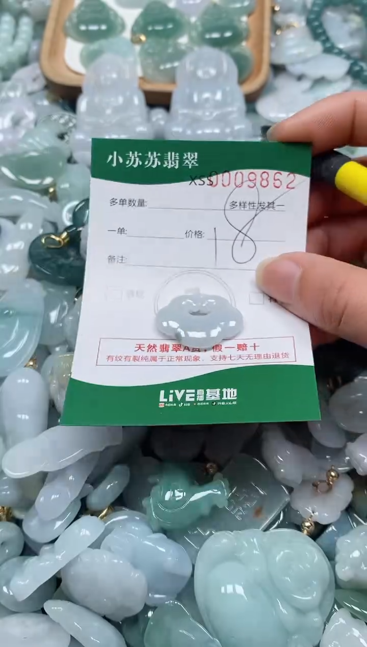 【闪购商品】翡翠颈饰未镶嵌闪购商品0009862