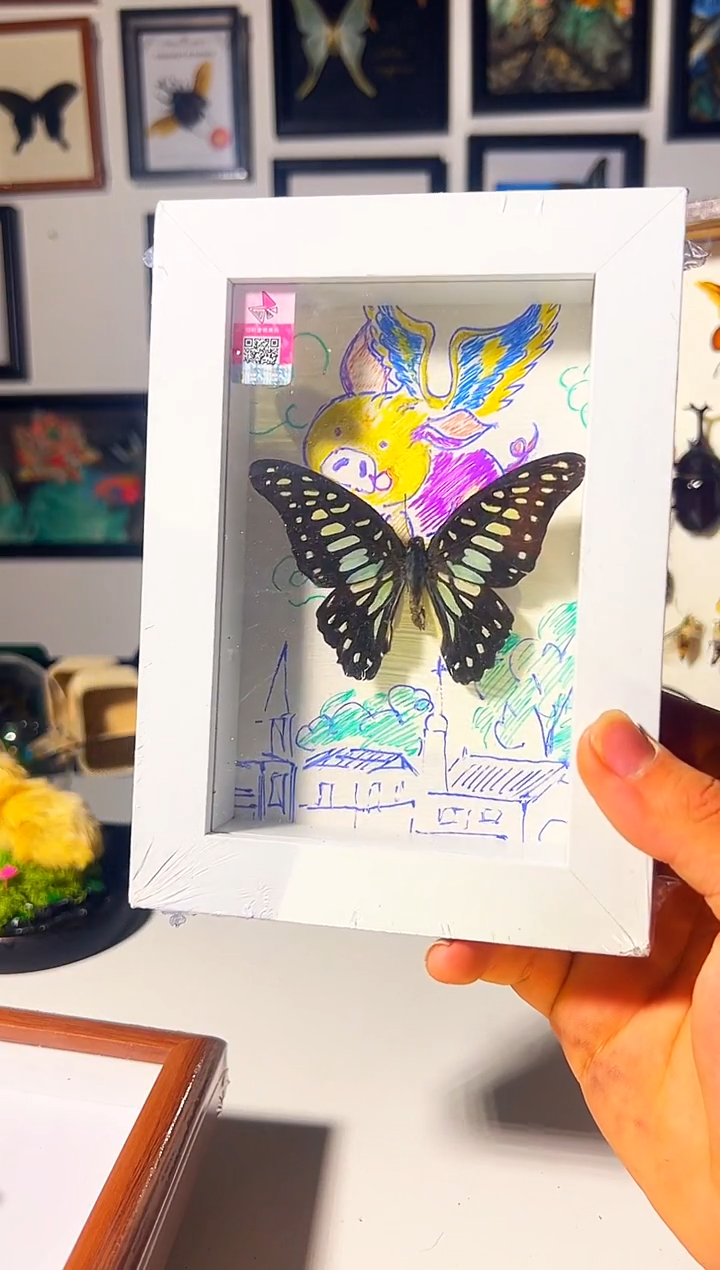 有机玻璃54981988