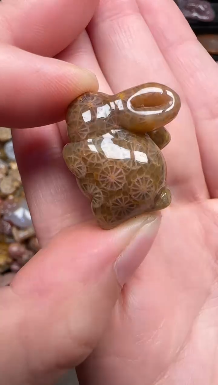 颈饰未镶嵌硅化珊瑚（珊瑚玉）157