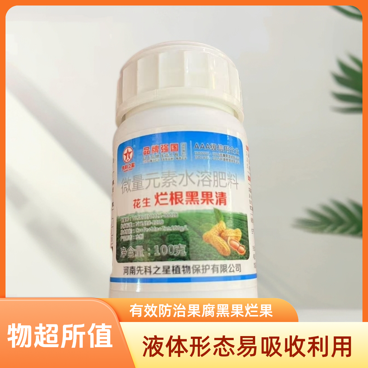 花生果腐 黑果 烂果 沤果 先科之星黑果清水溶肥料