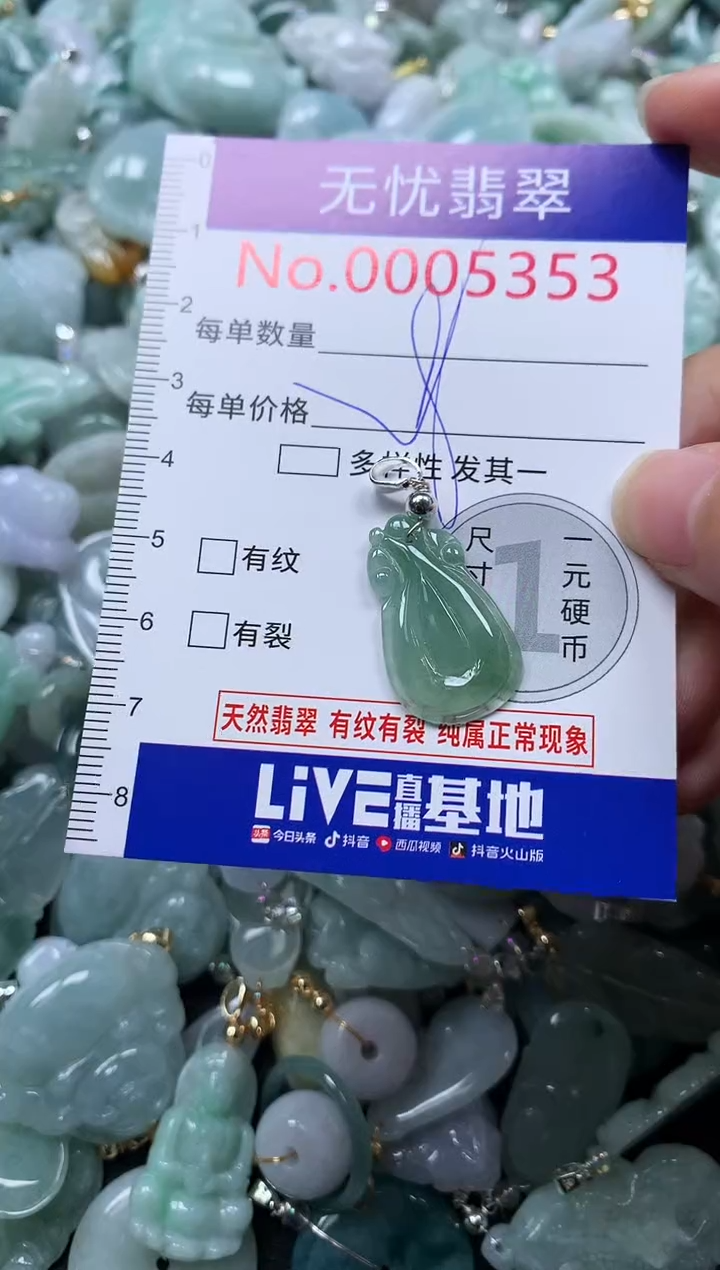 颈饰未镶嵌翡翠5353