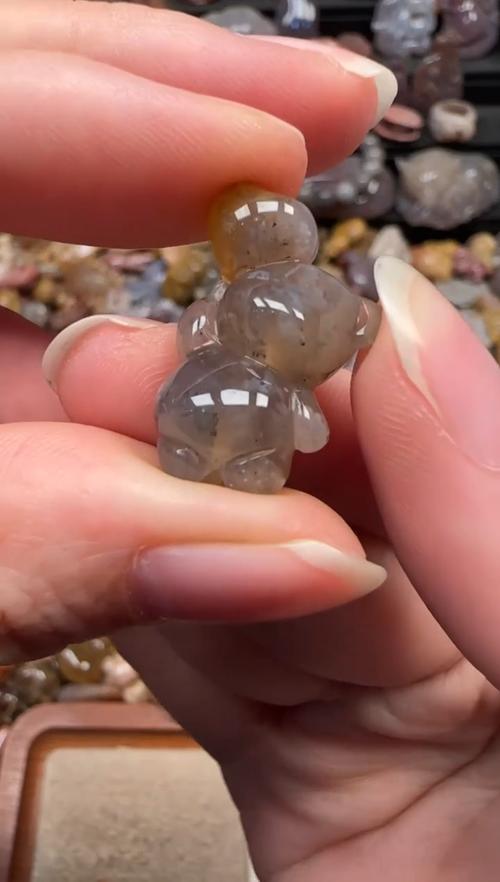 颈饰未镶嵌硅化珊瑚（珊瑚玉）711