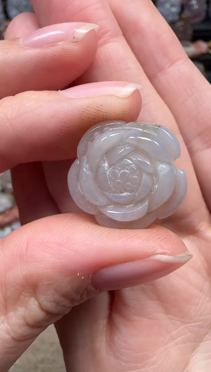 颈饰未镶嵌硅化珊瑚（珊瑚玉）347