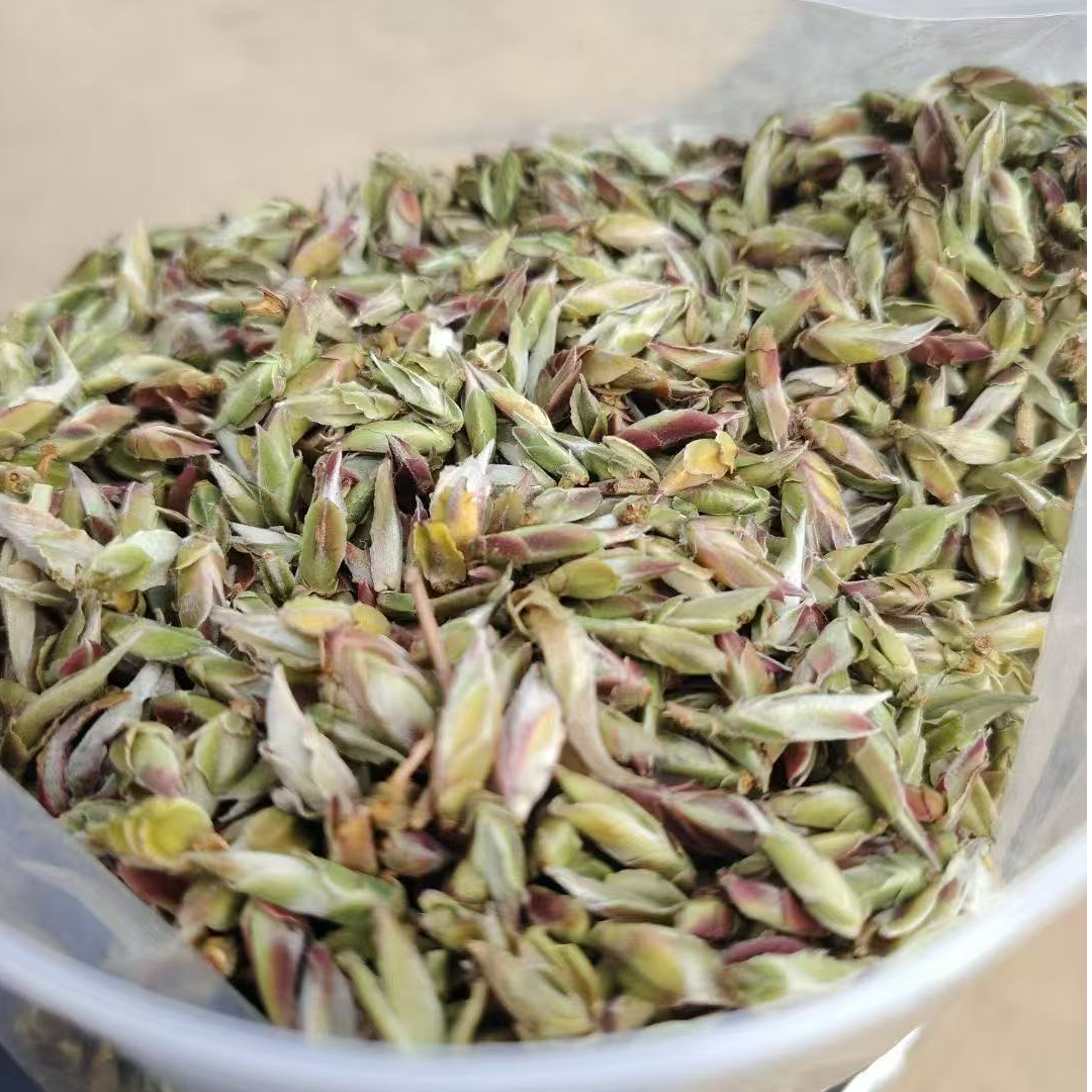 古树普洱茶 南盆古树芽孢100g/袋