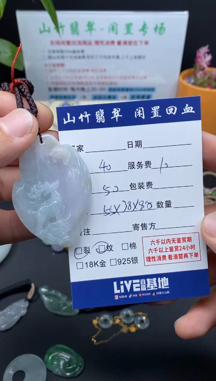 颈饰未镶嵌翡翠3001205