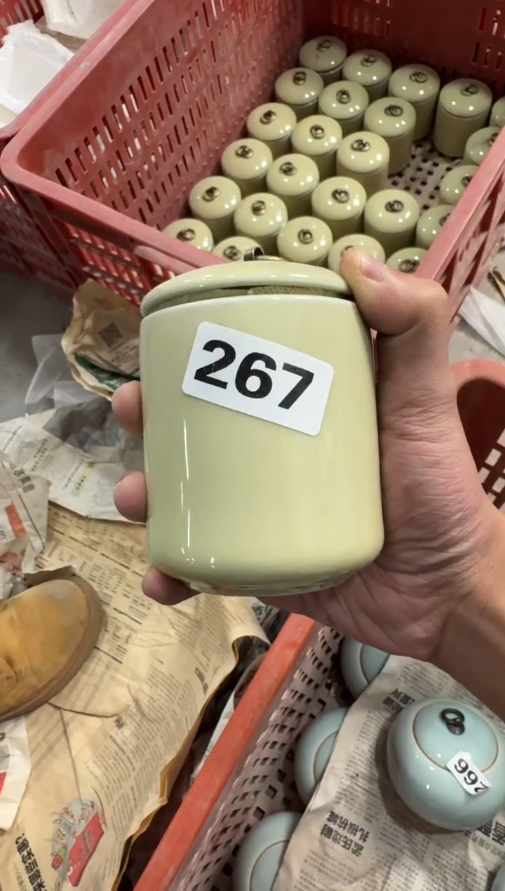 【267 】 八哥专拍