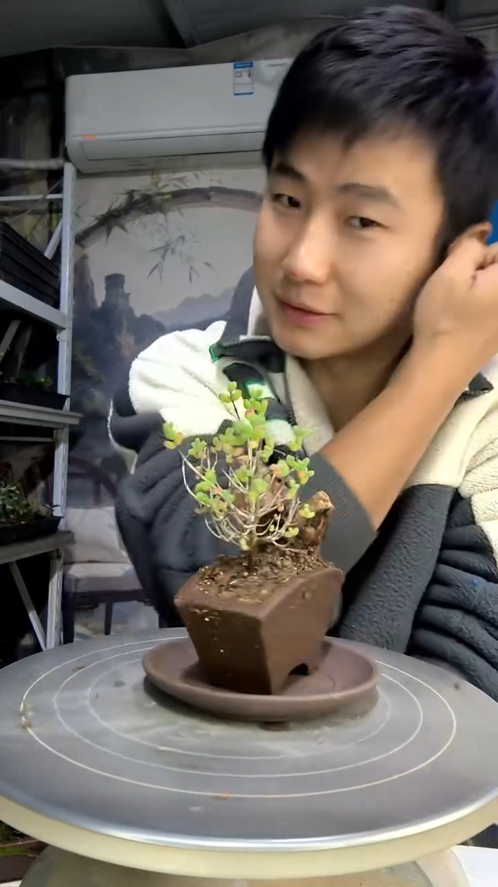 早*中青园艺一物一拍花82