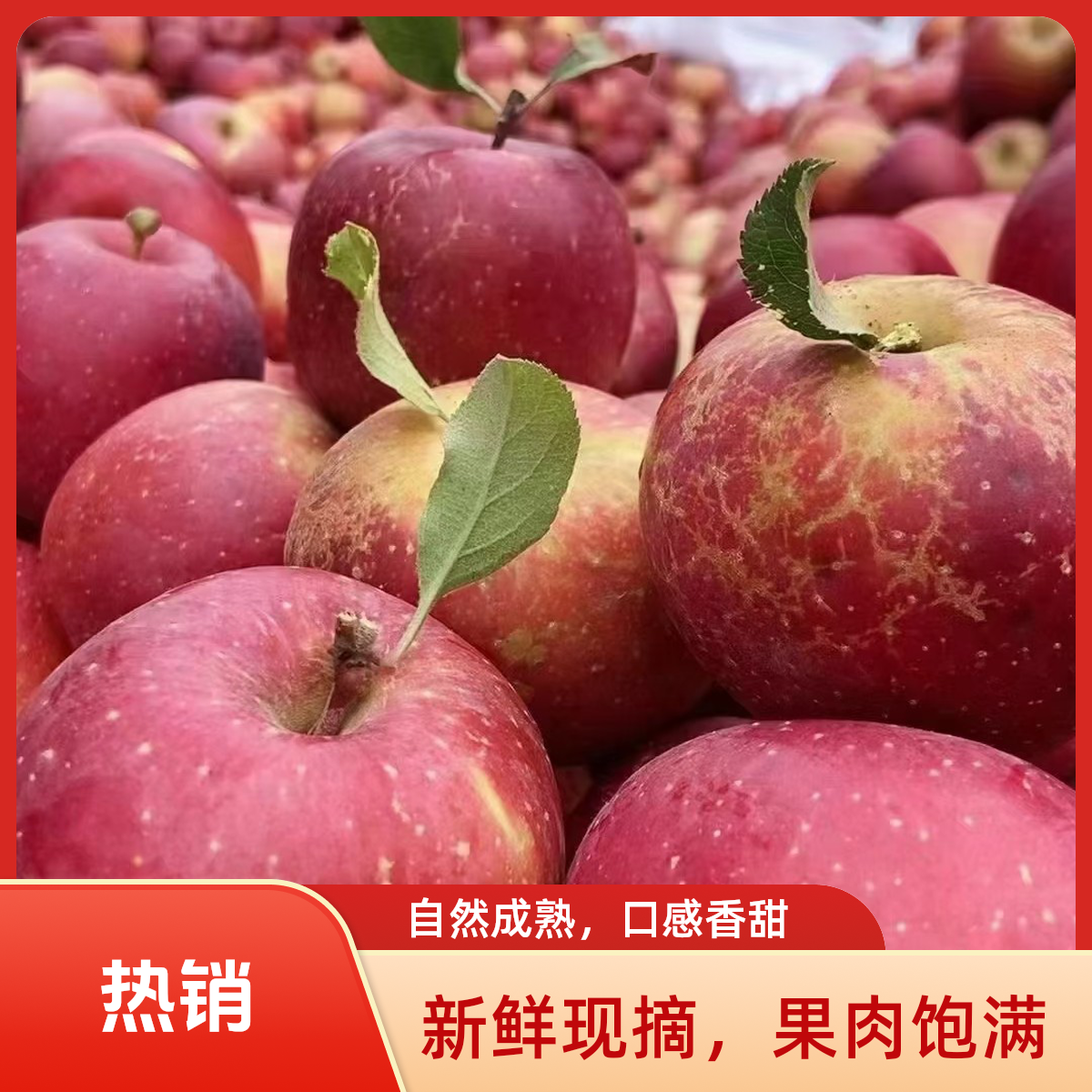 云南昭通冰糖心丑苹果新鲜现摘脆甜多汁原产地直发水果