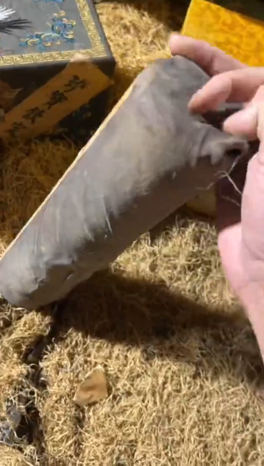 香榧木（1个小牛桶）