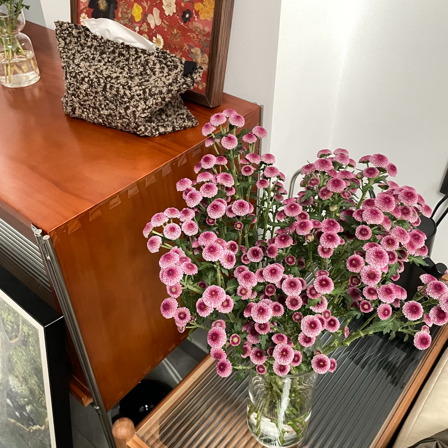 粉蘑菇小雏菊一把  花期长特别好养  云南基地鲜花   家养  水养