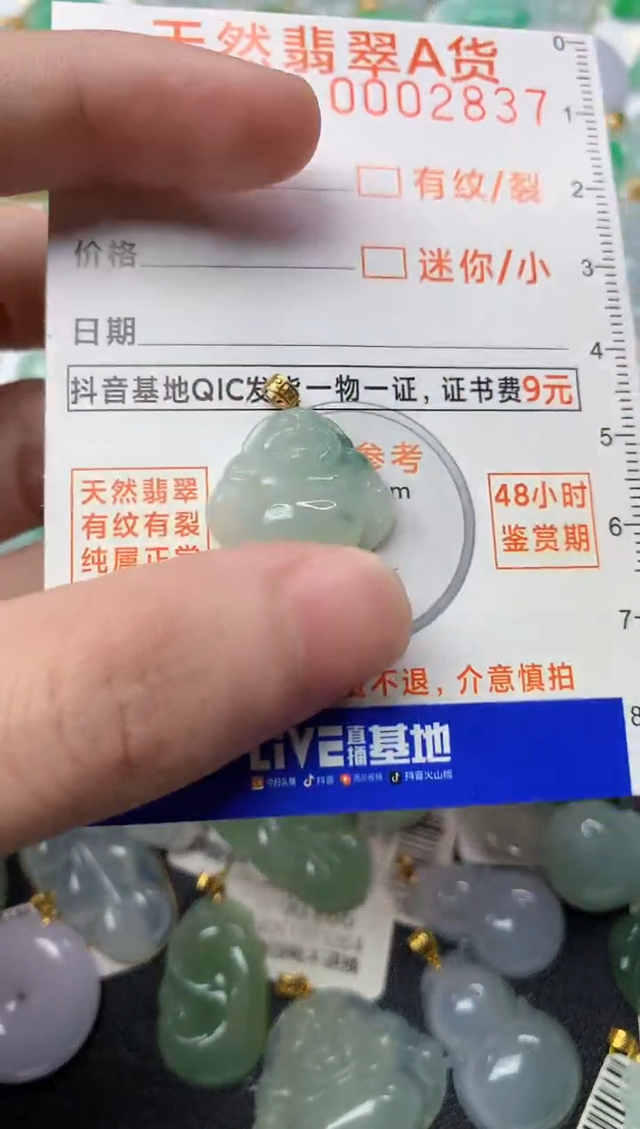 【闪购商品】翡翠颈饰18K金镶嵌5..............