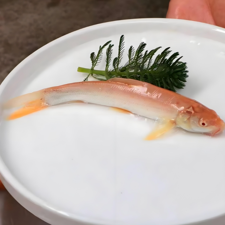 冰鲜现捞红色银鳕鱼生态养殖