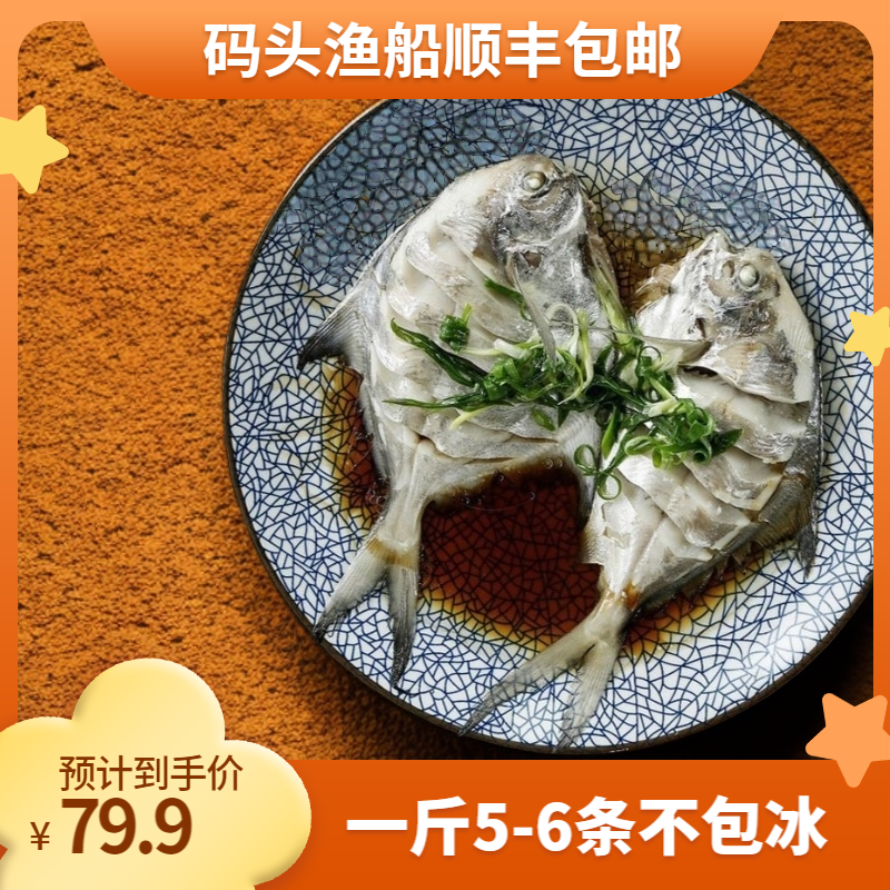 净重五斤 5-6条/斤 新鲜冷冻黄海银鲳鱼平鱼白鱼 顺丰发货