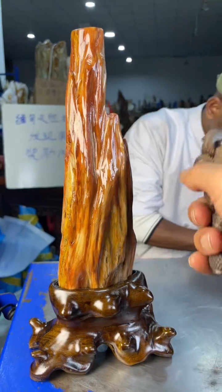 未镶嵌摆件硅化玉55