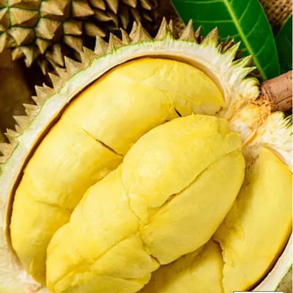 【2号】整果现开泰国东部树熟AA级核小金枕新鲜榴莲 2.5-4.5斤金枕泰国东部