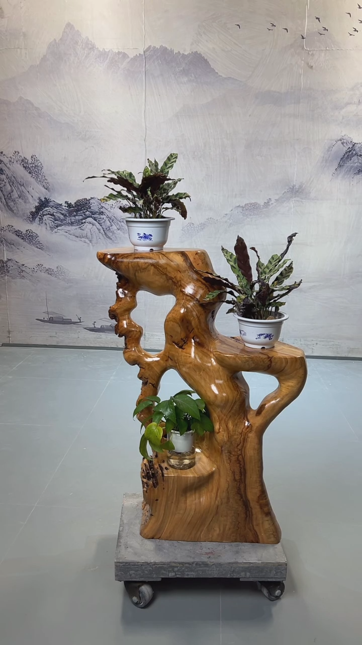 【闪购商品】香樟木香樟木树根根位花架