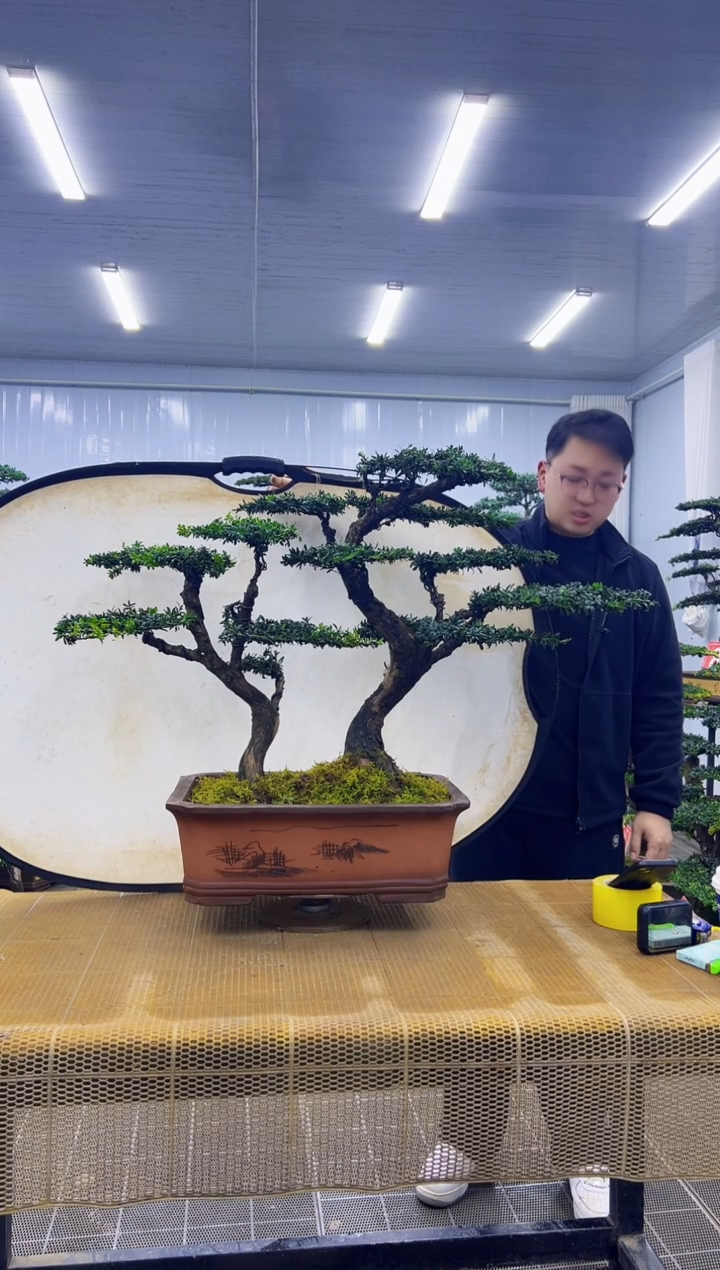 无花朵沉**言00000000000000