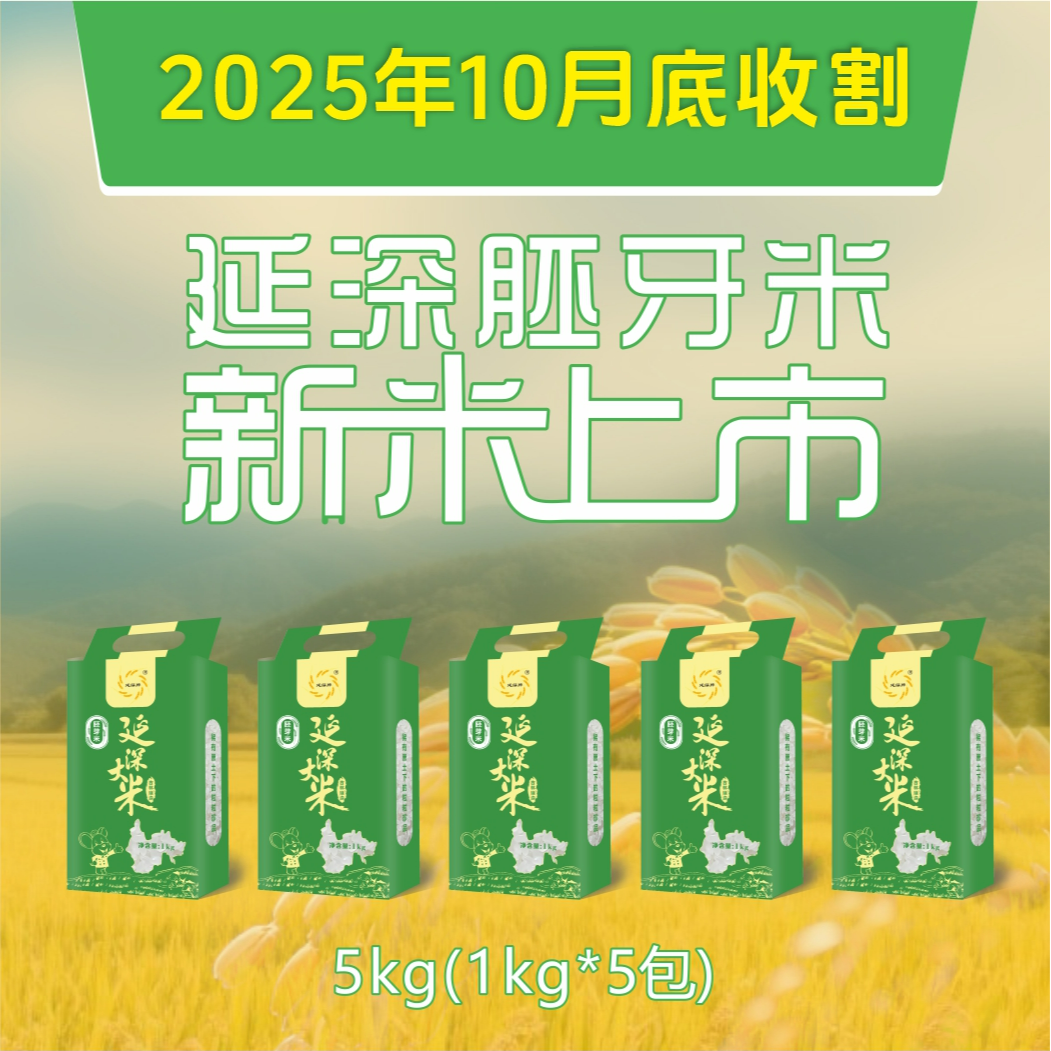 【范范专属】延深超值10斤装  延边町香米2025新米胚芽米