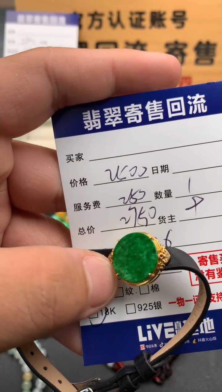 翡翠18K金镶嵌颈饰10141886