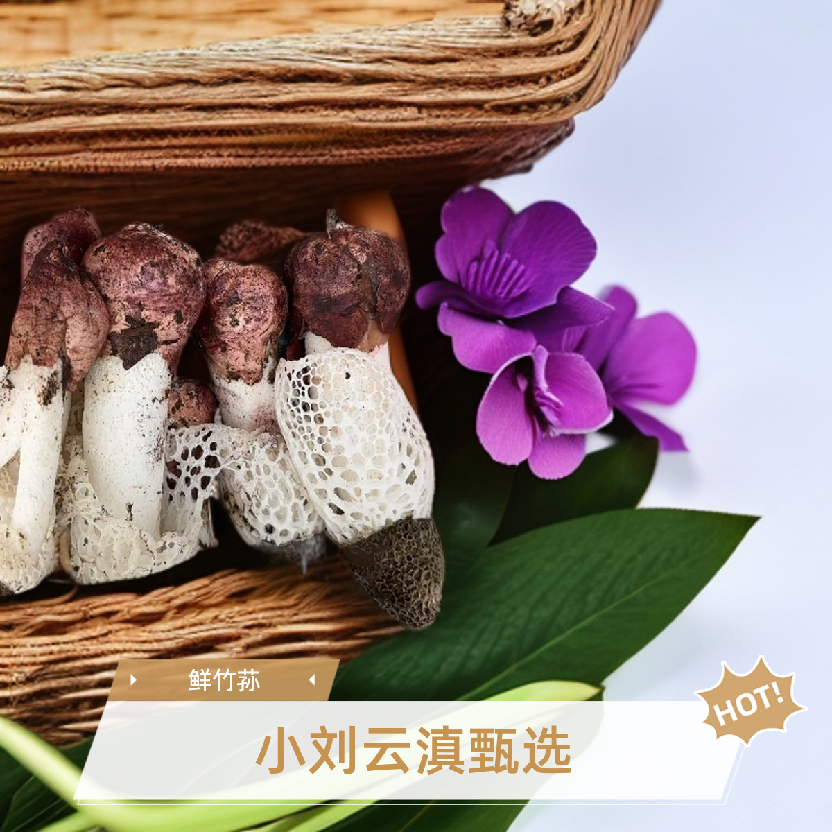 小刘云滇甄选-鲜竹荪