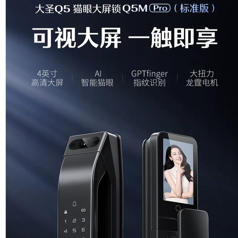 德施曼智能锁Q5MPRO 标准版