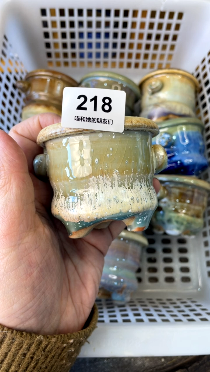 【闪购商品】陶218