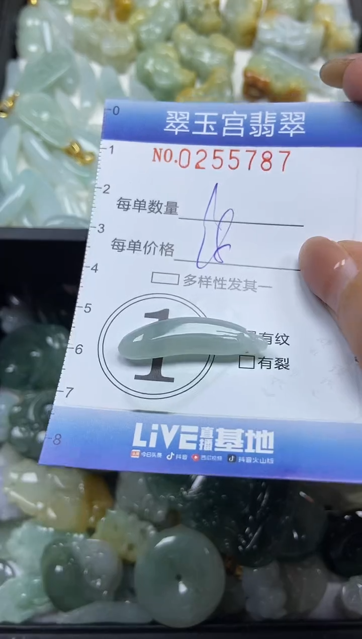 颈饰未镶嵌翡翠闪购C0255787