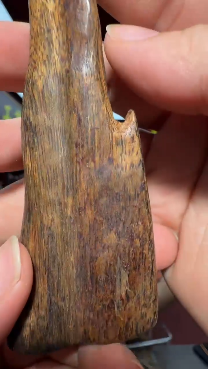 沉香手把件文莱多样性发一