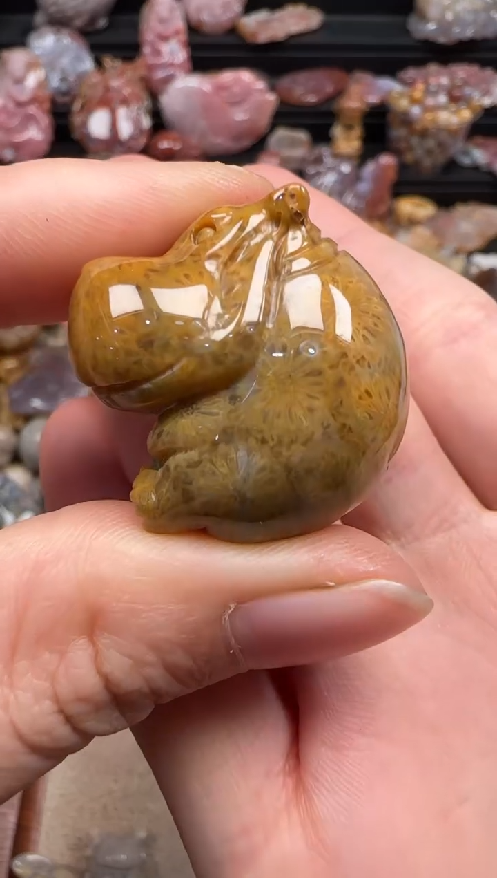 【闪购商品】硅化珊瑚（珊瑚玉）颈饰未镶嵌766