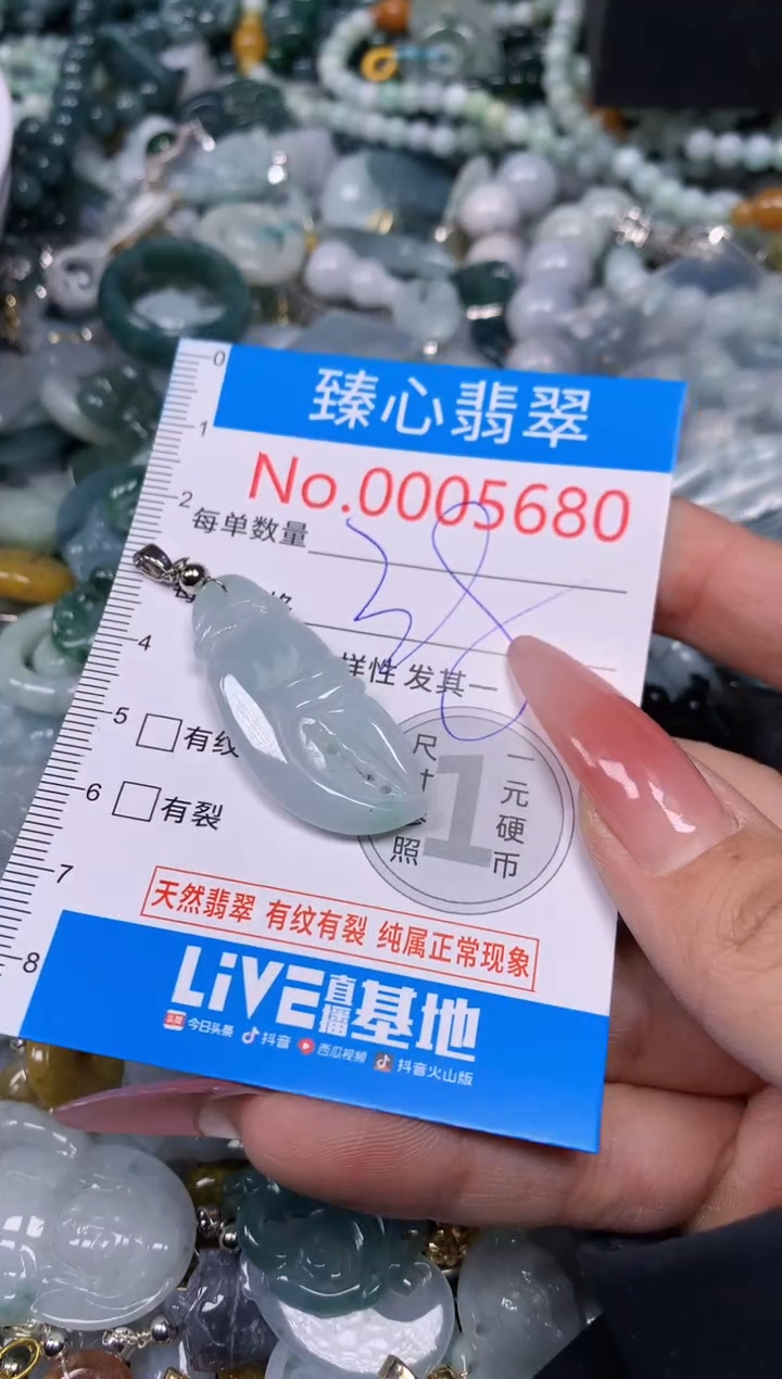 【闪购商品】翡翠颈饰未镶嵌含绳0005680
