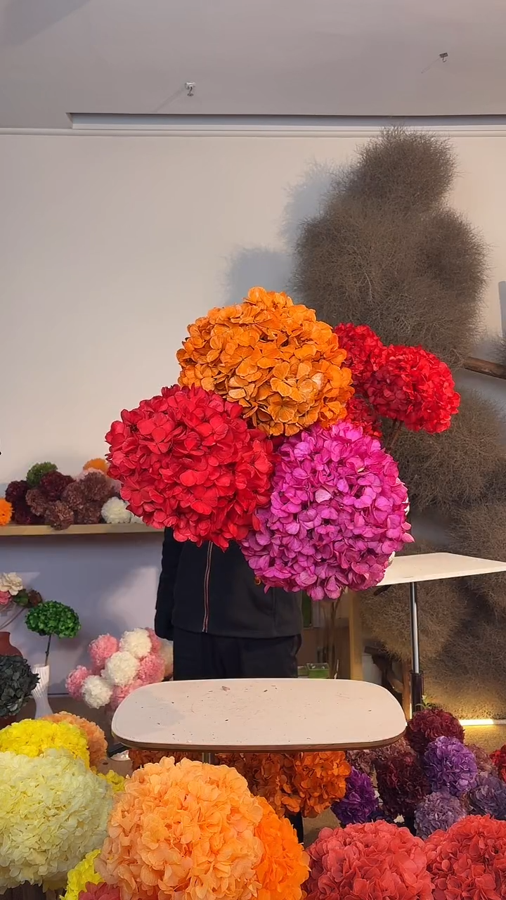 吸色永生大叶绣球3枝 红/橙/玫红