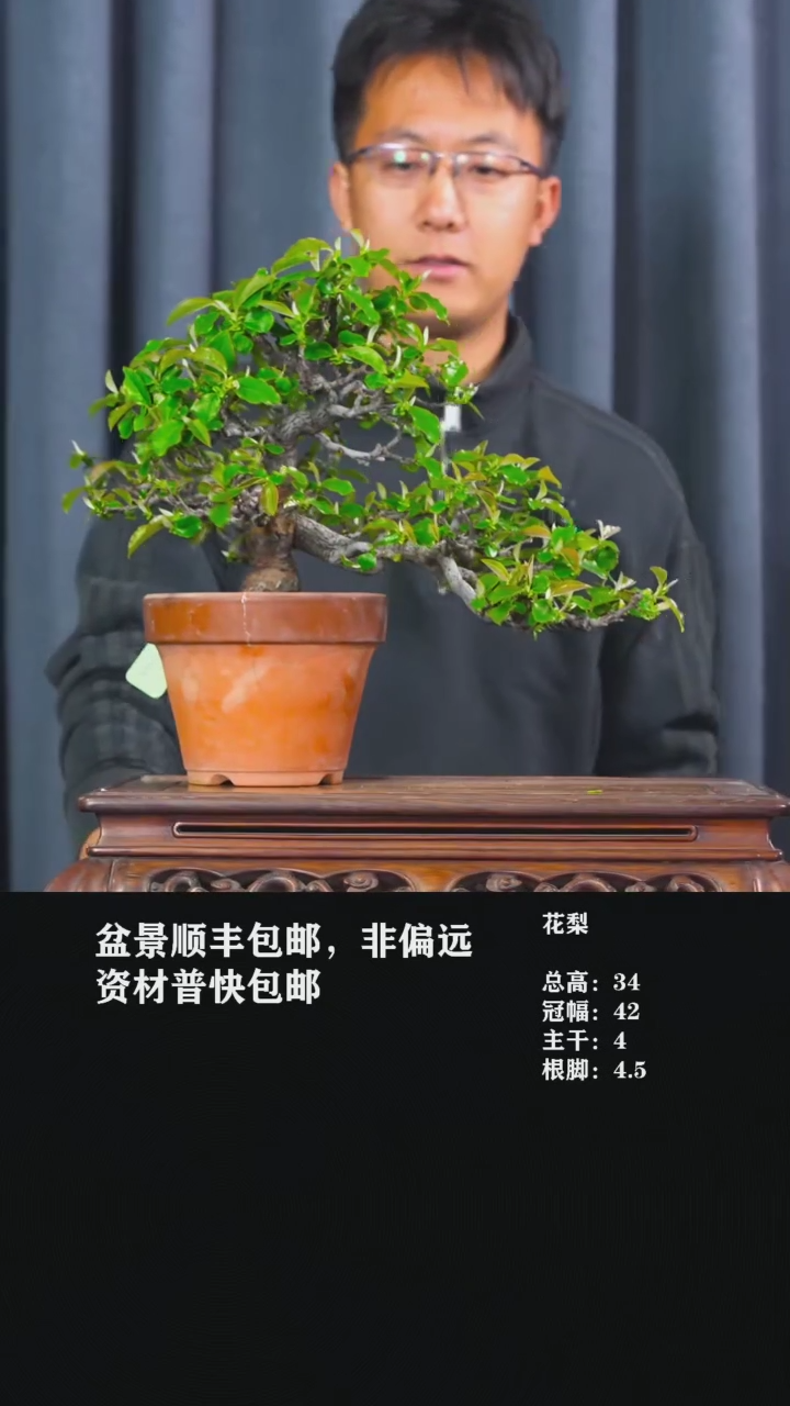 花梨盆景花梨盆景
