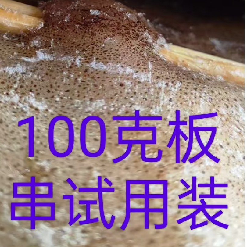 100克鱿鱼板串铁板烧烤