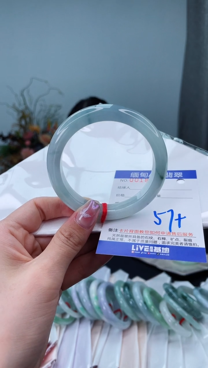 未镶嵌手镯翡翠2