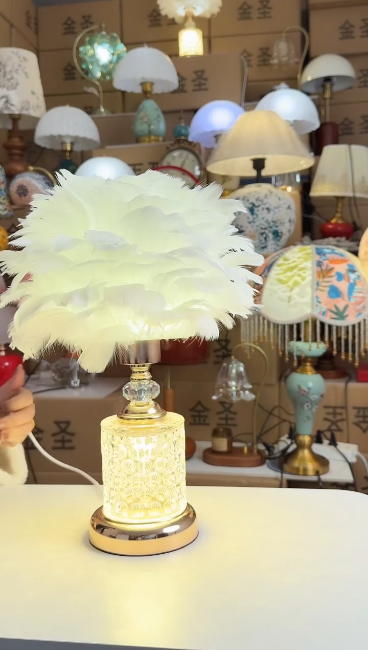 25号链接水晶羽毛灯