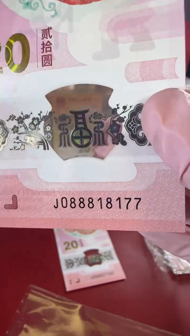 【闪购商品】塑料2025蛇钞啊啊啊啊单张裸