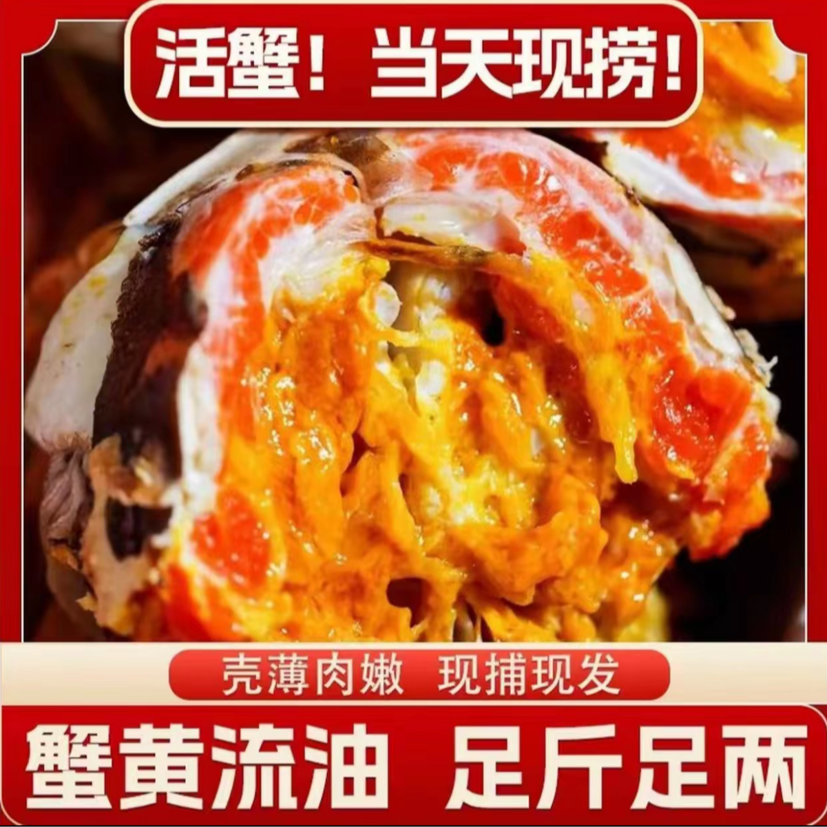 【活蟹超大】江苏大闸蟹礼盒装公蟹5.0母蟹4.0两共10只团购螃蟹送礼