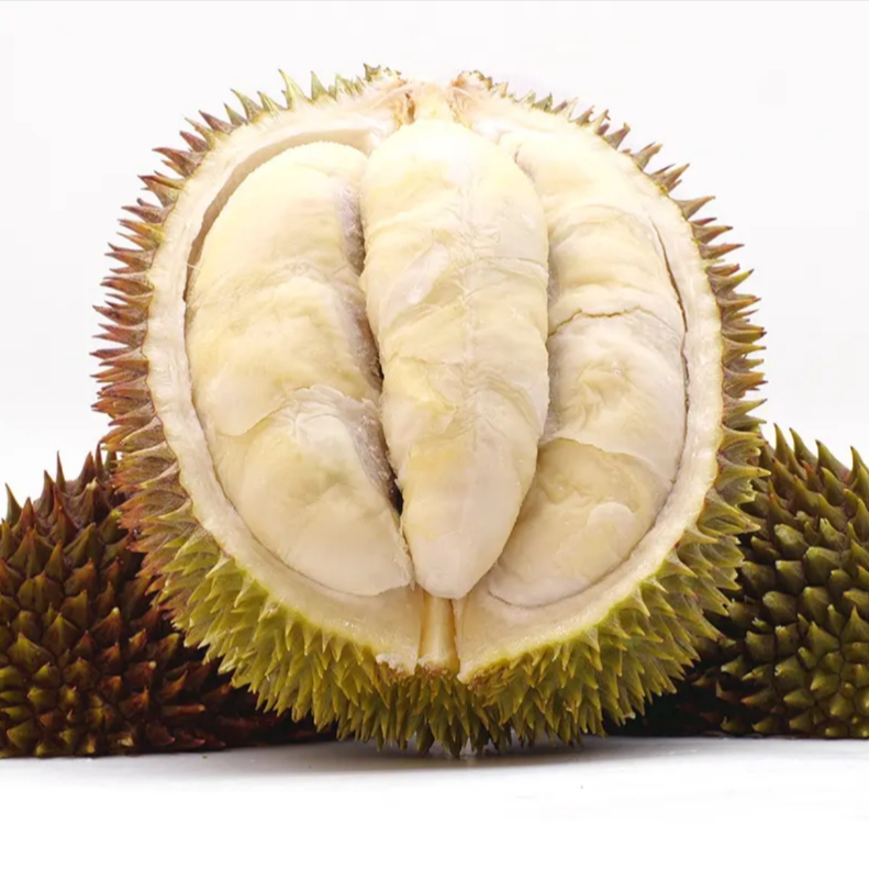 马来西亚甘榜野生榴莲 液氮树熟 果肉奶白 自然解冻4小时可以使用