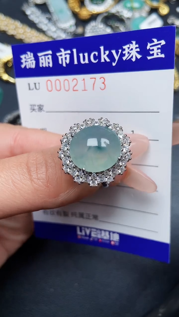 【闪购商品】翡翠颈饰银S925镶嵌2173