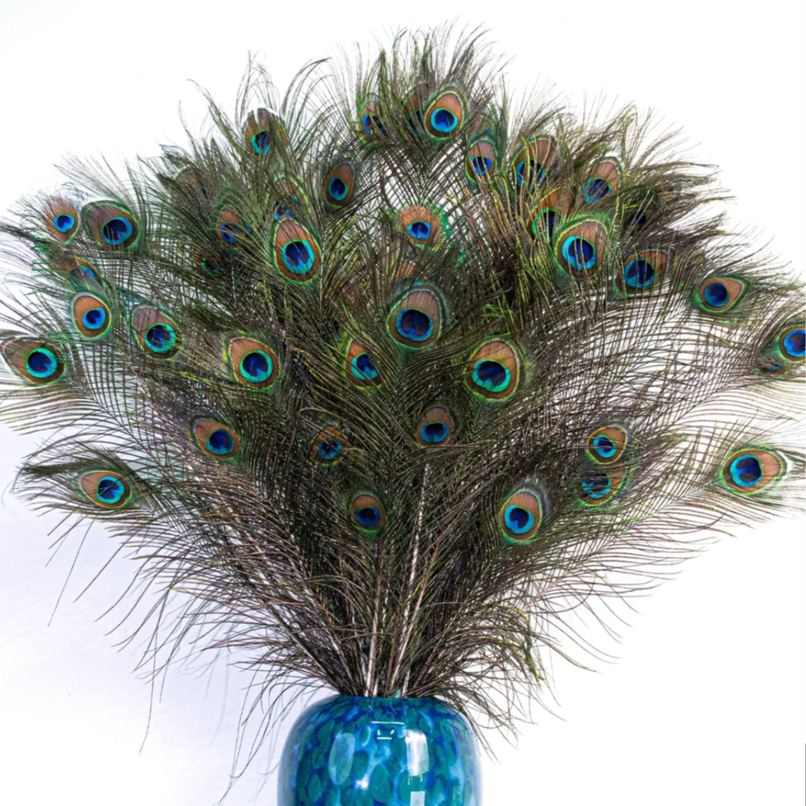 精选上等孔雀羽毛30支组合家用装饰手工艺家居饰品客厅摆件
