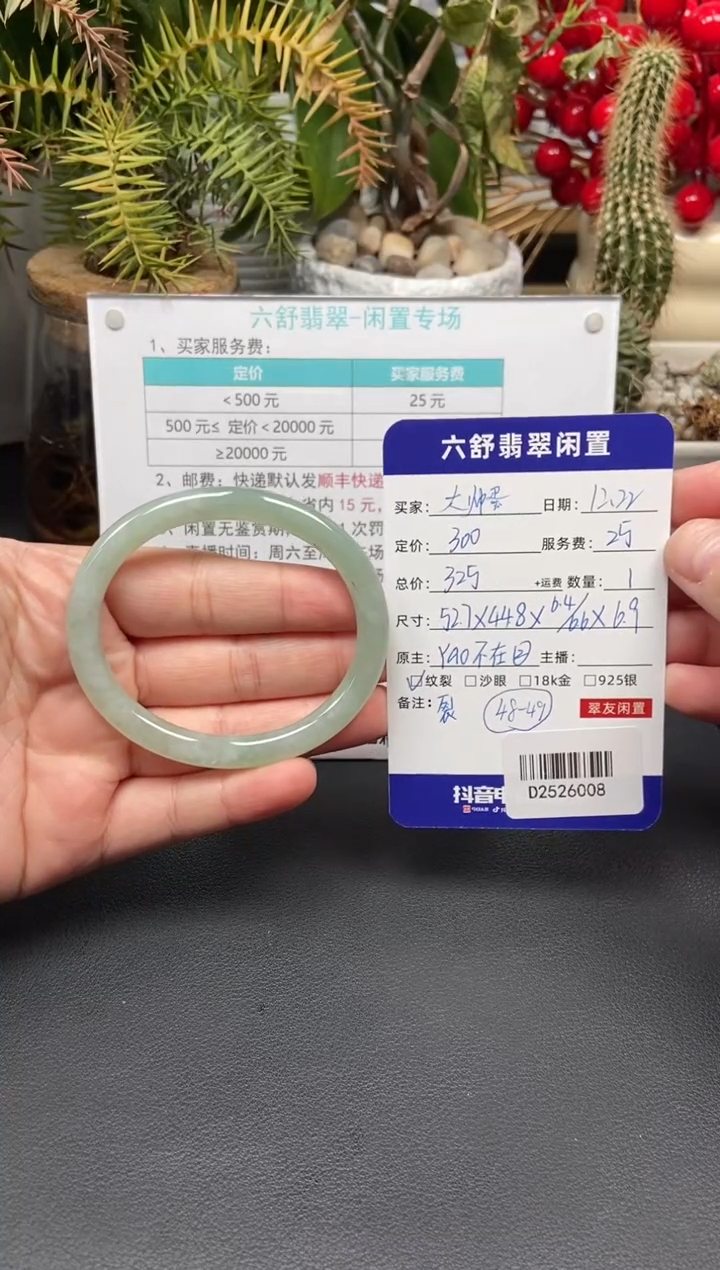 未镶嵌手镯翡翠大*蛋D2526008