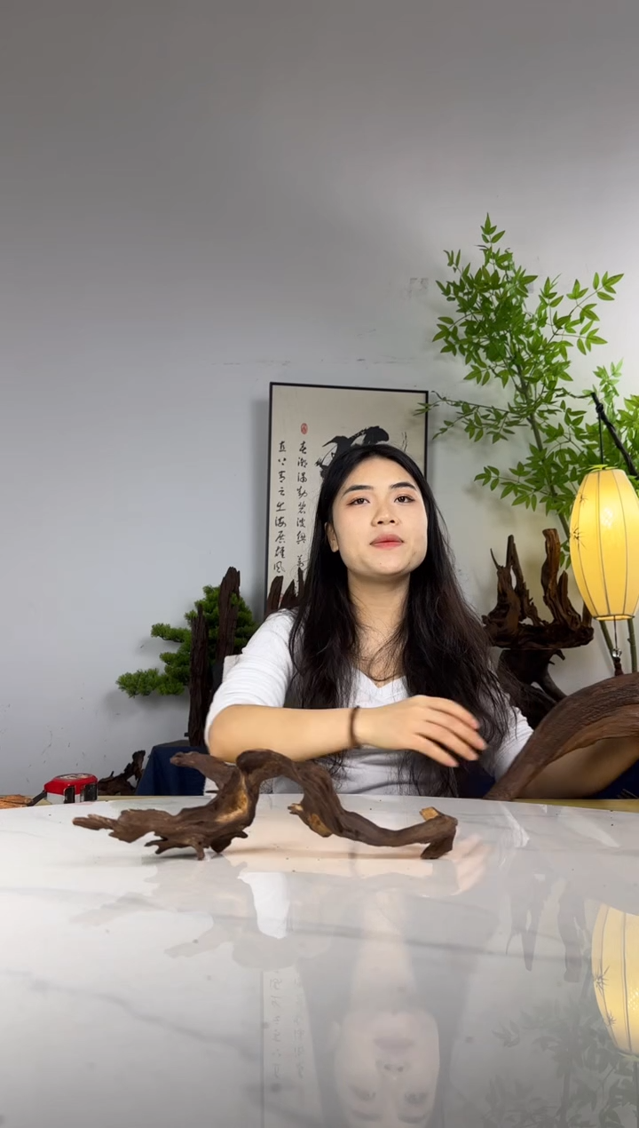 程*拍沉木定向链接编号44