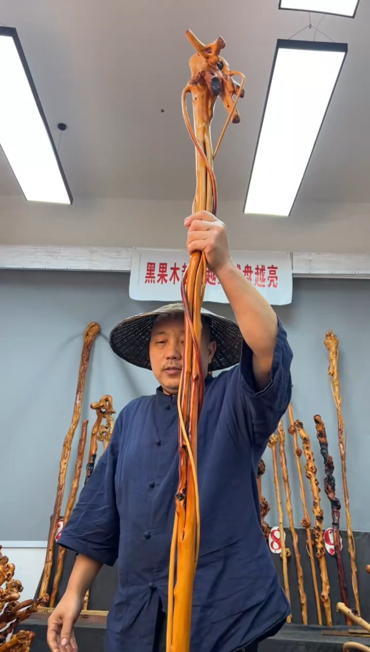 【闪购商品】黑果木其他黑果木085