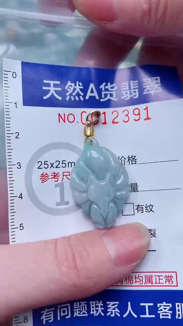 翡翠未镶嵌吊坠(不含链)1