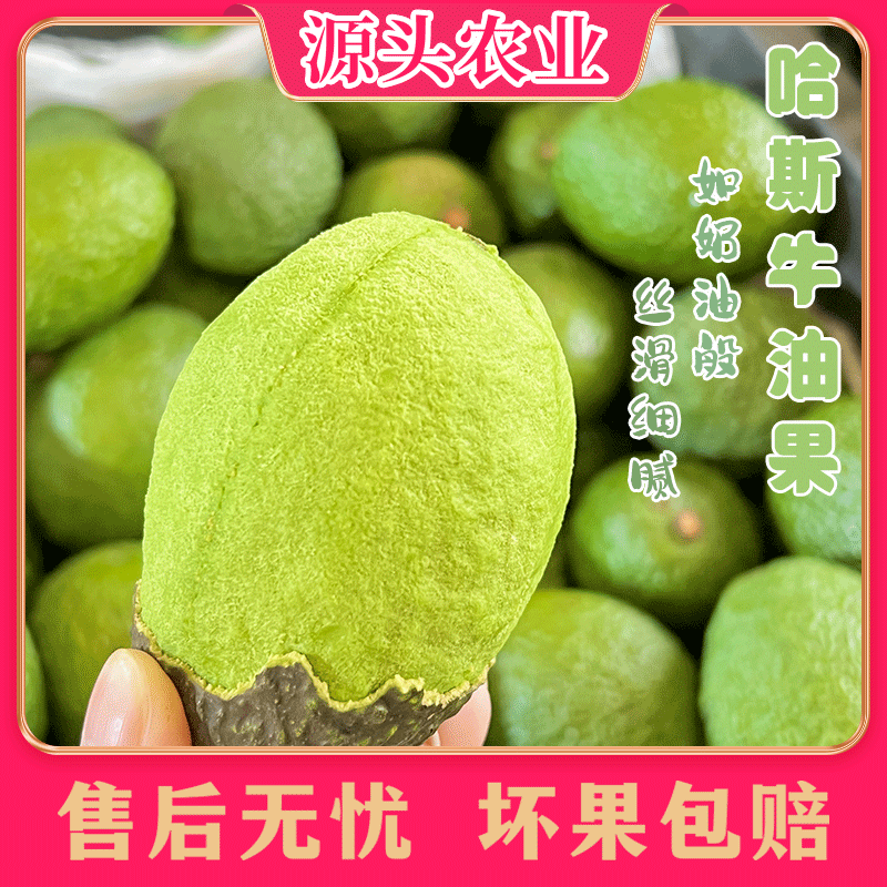 【哈斯牛油果】秘鲁当季新鲜水果鳄梨 6枚装/赠一包芥末酱油S