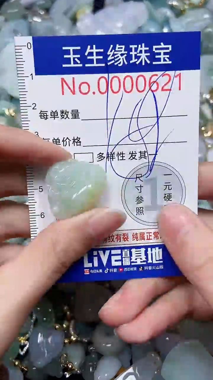 【闪购商品】翡翠颈饰未镶嵌闪购0000621